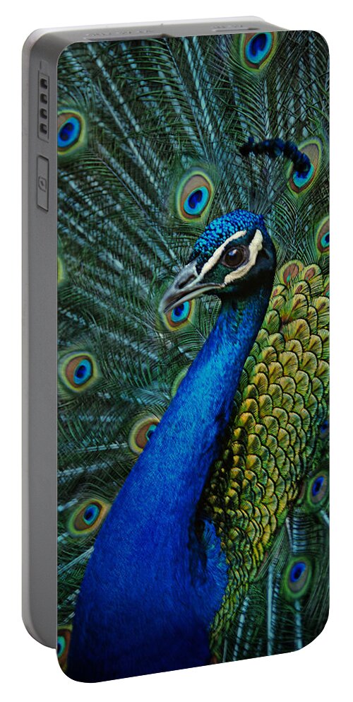 Hdr Portable Battery Charger featuring the photograph Paon by Joachim G Pinkawa