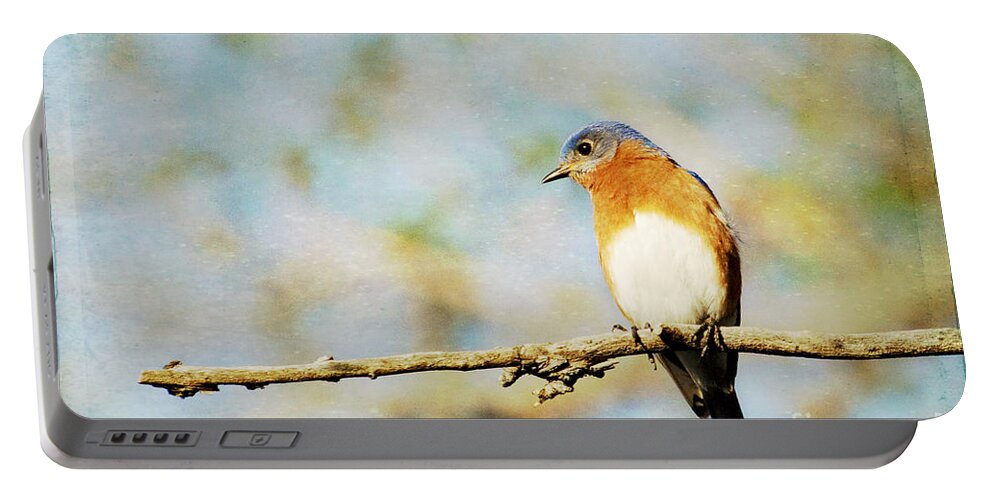 Bluebird Portable Battery Charger featuring the photograph Papa Blue by Pam Holdsworth