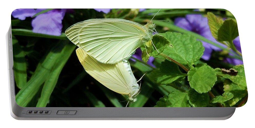 Butterflies Portable Battery Charger featuring the photograph Passion of the Butterflies by Robert ONeil