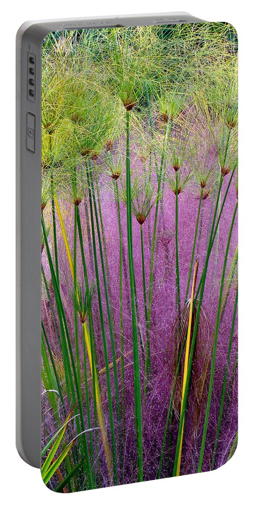 Fine Art Portable Battery Charger featuring the photograph Pastel Grass by Rodney Lee Williams