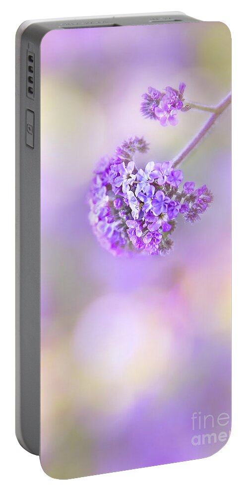 Kremsdorf Portable Battery Charger featuring the photograph Pastel Moods by Evelina Kremsdorf