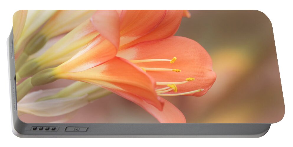 Orange Flower Portable Battery Charger featuring the photograph Pastels by Kim Hojnacki