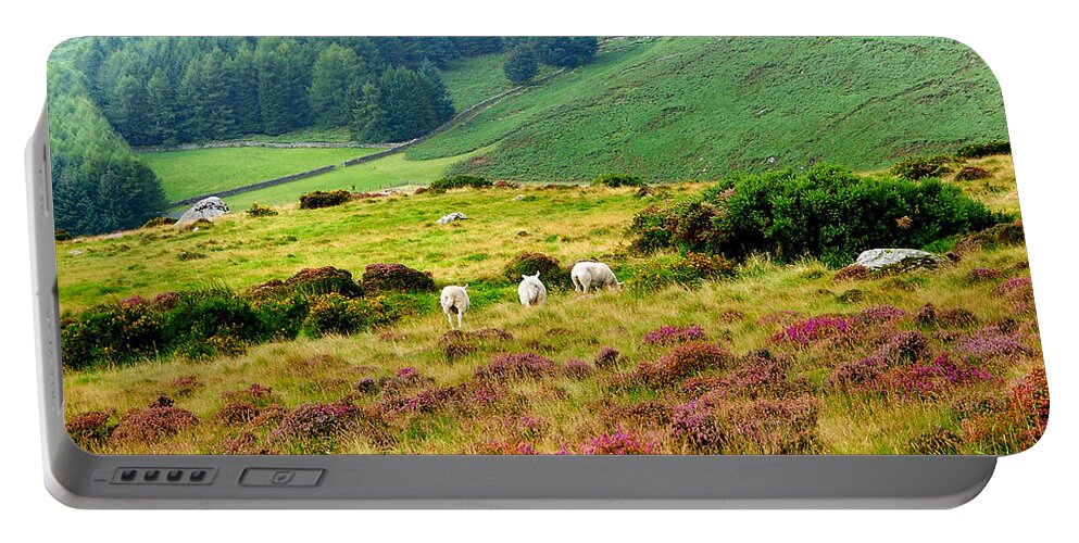 Jenny Rainbow Fine Art Photography Portable Battery Charger featuring the photograph Pastoral Scene. Wicklow. Ireland by Jenny Rainbow