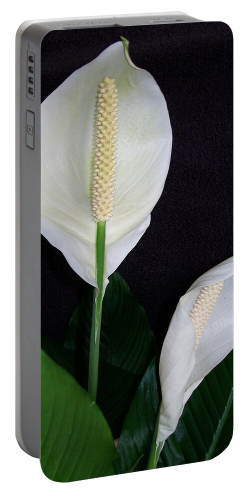 Lily Portable Battery Charger featuring the photograph Peace Lilies by Sharon Duguay