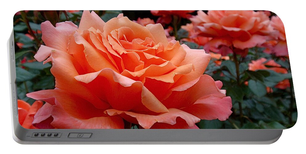 Roses Portable Battery Charger featuring the photograph Peach Roses by Rona Black