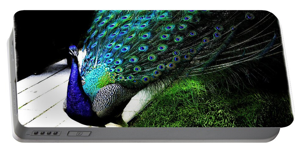 Peacock Portable Battery Charger featuring the photograph Peacock Beauty 4 by Madeline Ellis
