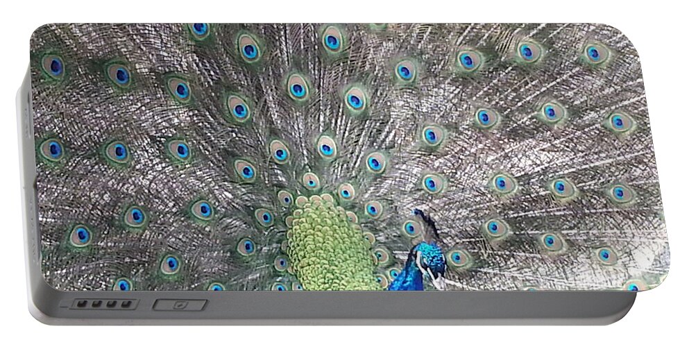 Peacock Portable Battery Charger featuring the photograph Peacock Bow by Caryl J Bohn