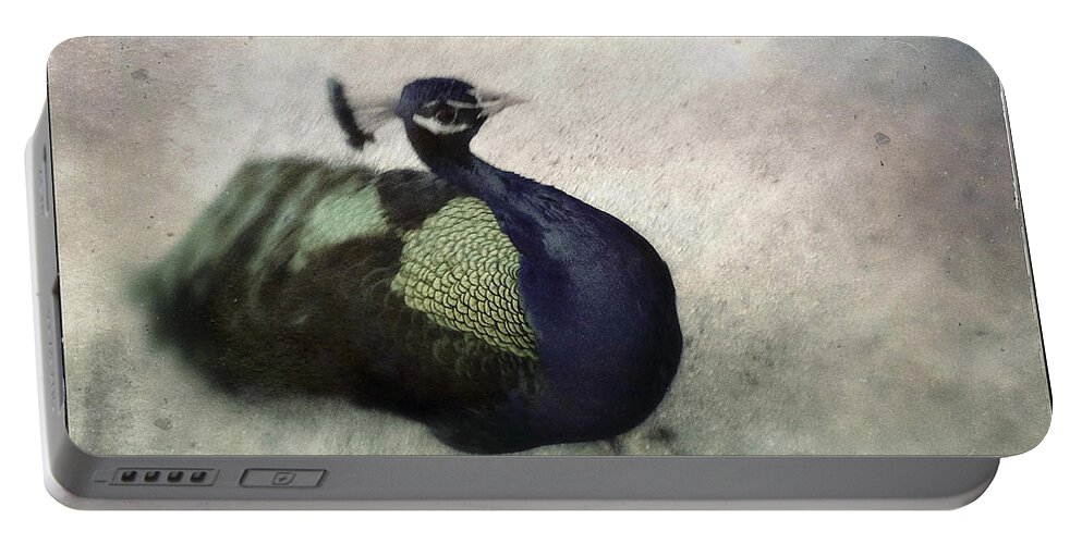 Peacock Portable Battery Charger featuring the photograph Peacock by Bradley R Youngberg