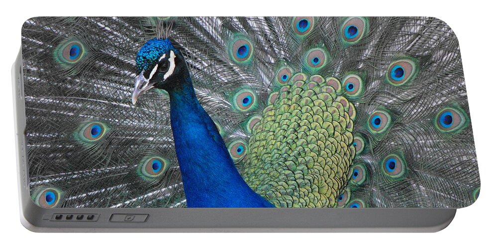 Peacock Portable Battery Charger featuring the photograph Peacock by Erick Schmidt