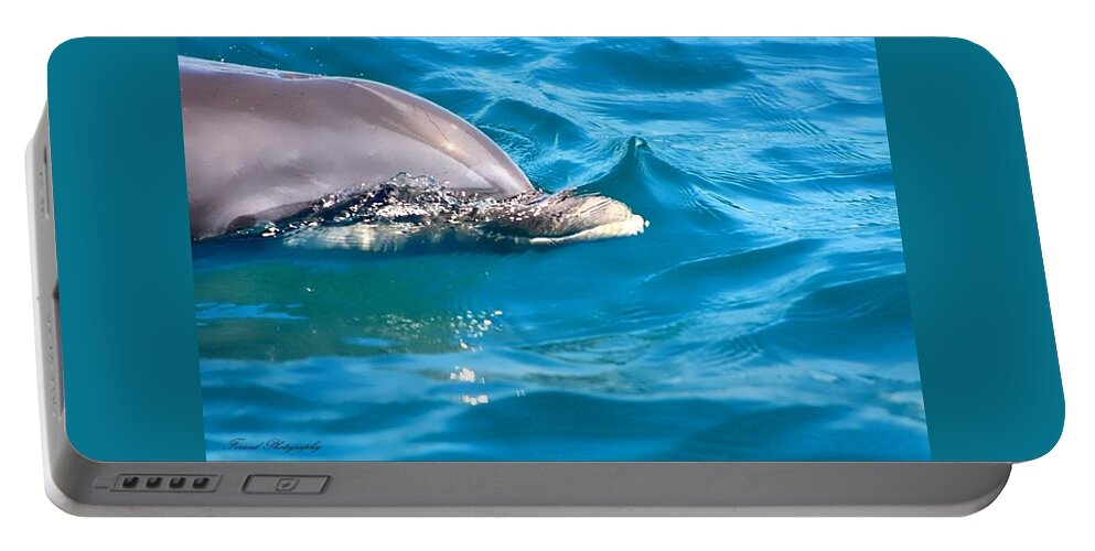 Dolphin Portable Battery Charger featuring the photograph Peeking Dolphin by Debra Forand