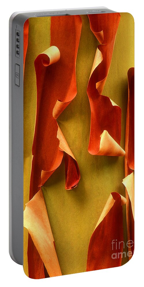 Pacific Madrone Portable Battery Charger featuring the photograph Peeling Bark Pacific Madrone Tree Washington by Dave Welling