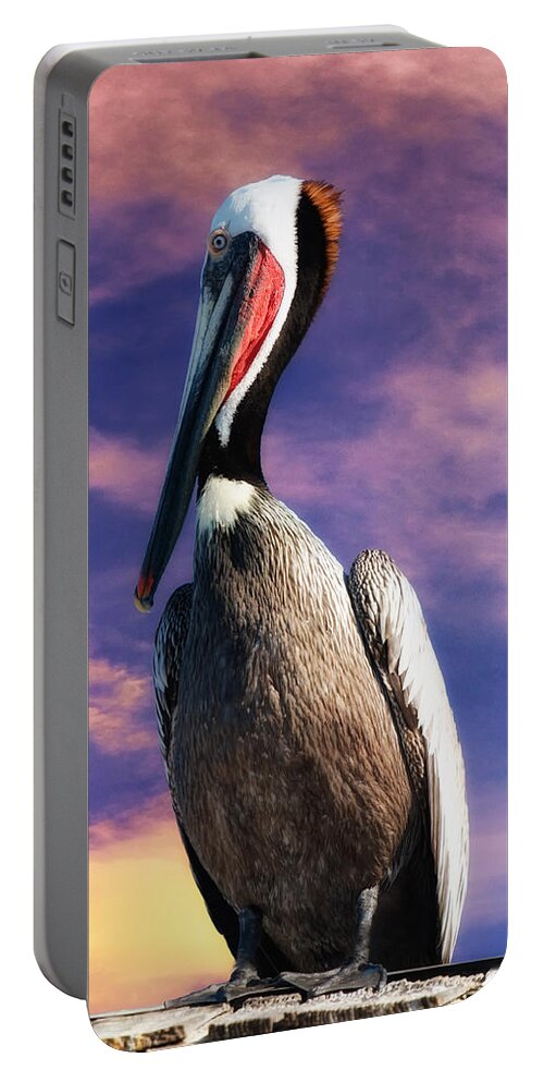 Pelican At Sunset Portable Battery Charger featuring the photograph Pelican at Sunset by OLena Art by Lena Owens - Vibrant DESIGN