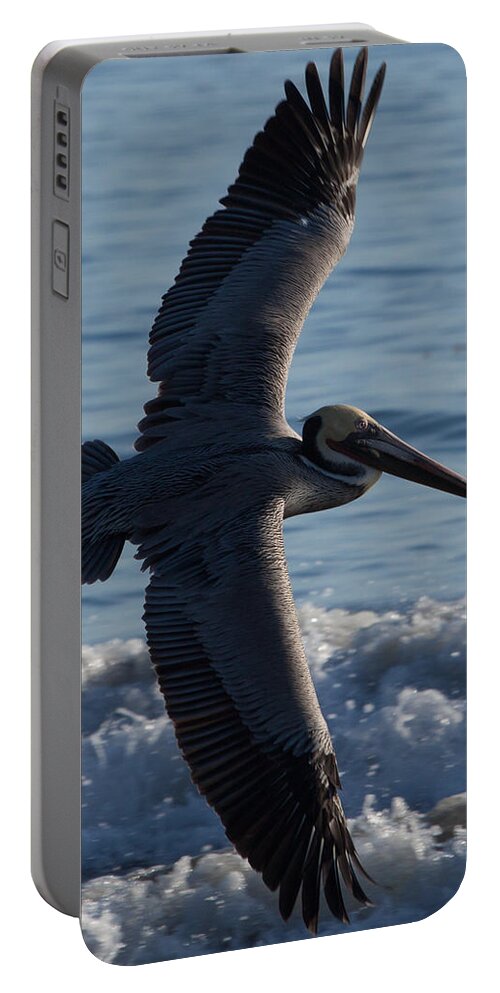 Pelican Portable Battery Charger featuring the photograph Pelican Flight by John Daly