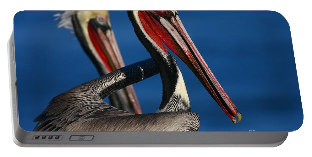 Landscapes Portable Battery Charger featuring the photograph La Jolla Pelicans In Waves by John F Tsumas