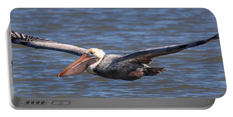 Pelican Portable Battery Charger featuring the photograph Pelican in Flight by Patricia Schaefer