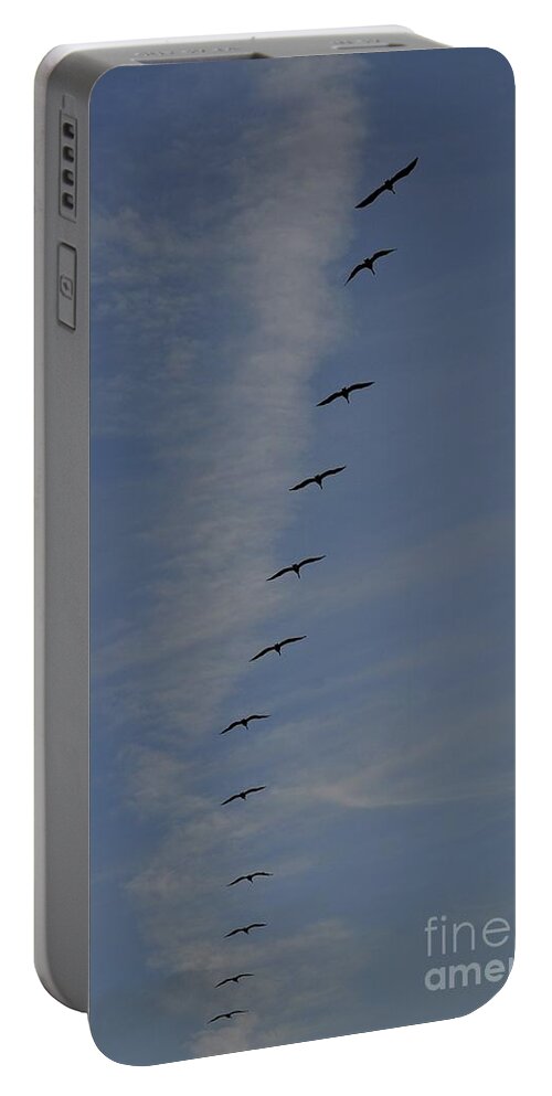 Pelican Portable Battery Charger featuring the photograph Pelican Line by Bridgette Gomes