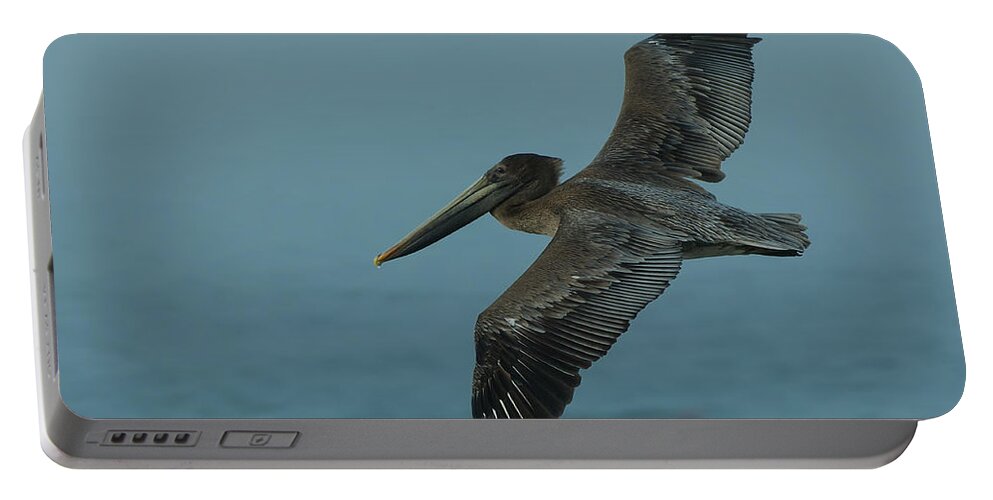 Dusk Portable Battery Charger featuring the photograph Pelican by Sebastian Musial