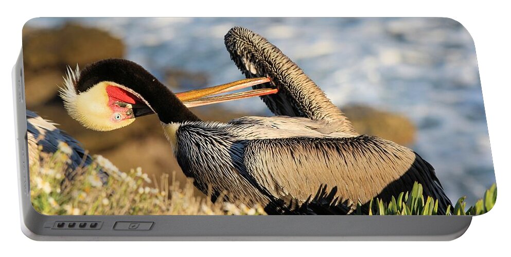 Pelican Portable Battery Charger featuring the photograph Pelican Twisting by Jane Girardot