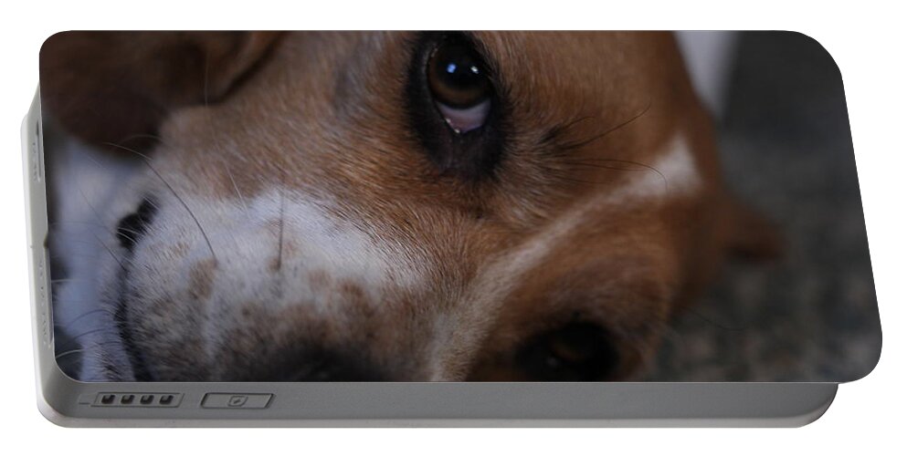 Beagle Portable Battery Charger featuring the photograph Penny the Beagle Dog by Valerie Collins