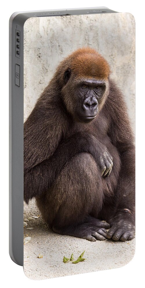 Africa Portable Battery Charger featuring the photograph Pensive Gorilla by Raul Rodriguez