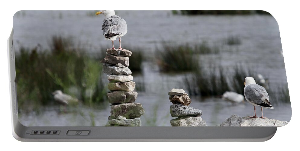 Seagull Portable Battery Charger featuring the photograph Perched on a Rock Cairn by Jackson Pearson