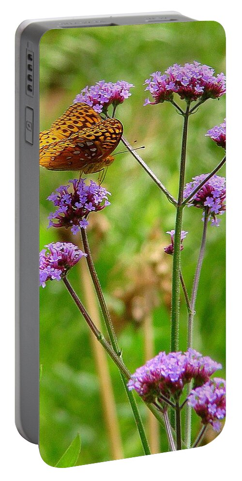 Fine Art Portable Battery Charger featuring the photograph Perched by Rodney Lee Williams
