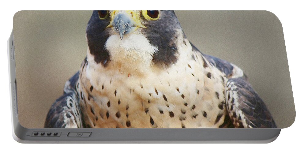 Birds Portable Battery Charger featuring the photograph Peregrine Falcon by Paulette Thomas