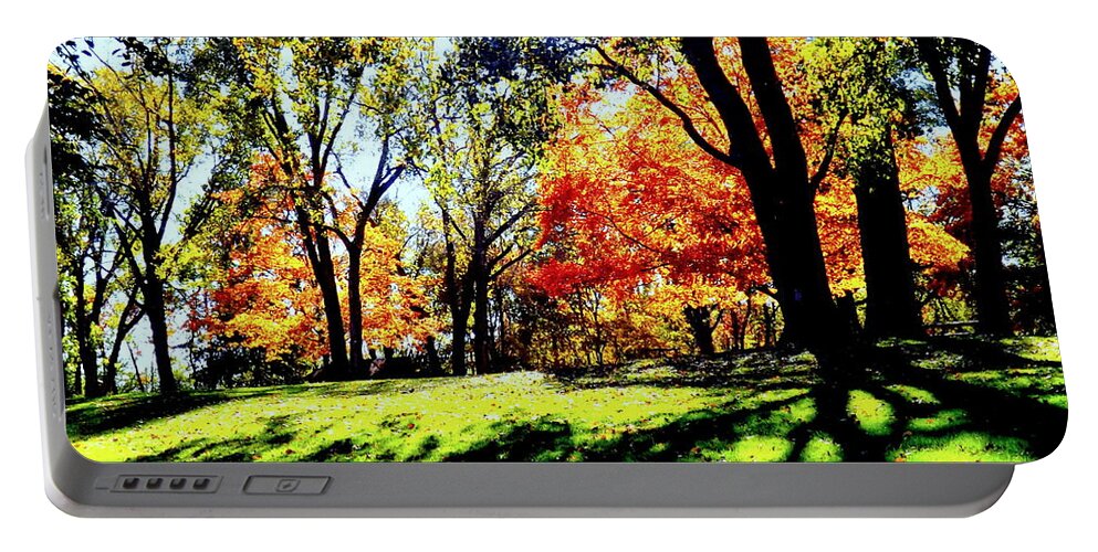 Perfect Picnic Spot Portable Battery Charger featuring the photograph Perfect Picnic Spot by Darren Robinson