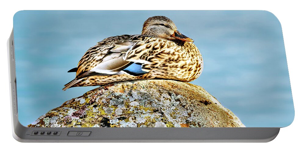  Duck Portable Battery Charger featuring the photograph Perfect Resting Rock by Abram House