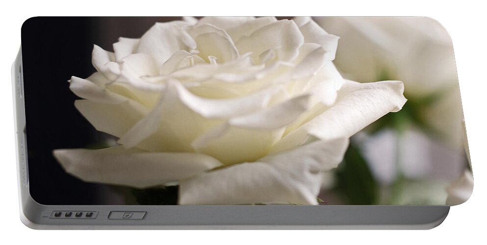 Roses Portable Battery Charger featuring the photograph Perfect White Rose by Connie Fox