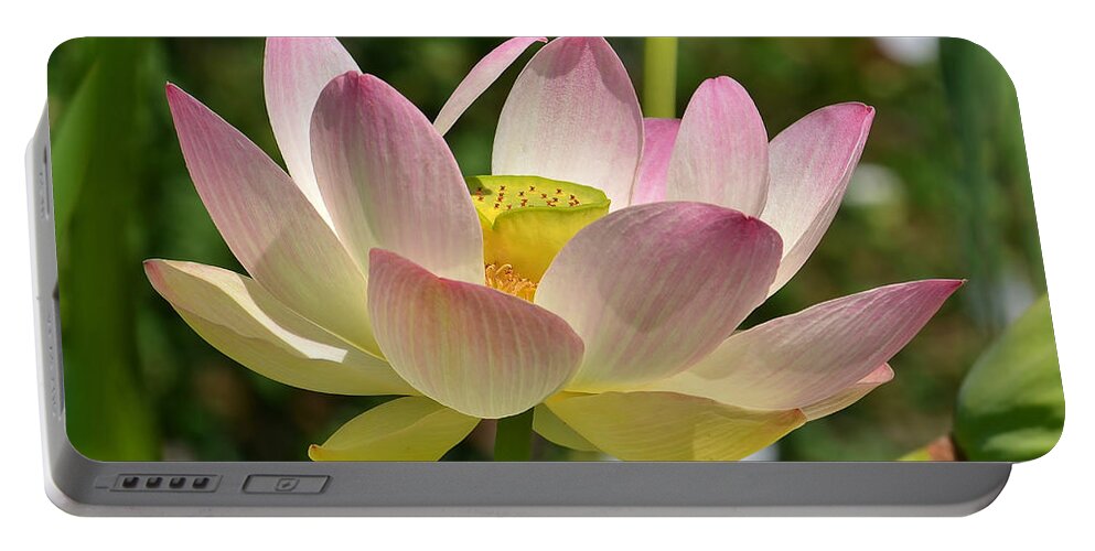 Lotus Portable Battery Charger featuring the photograph Perfection by Kathy Baccari