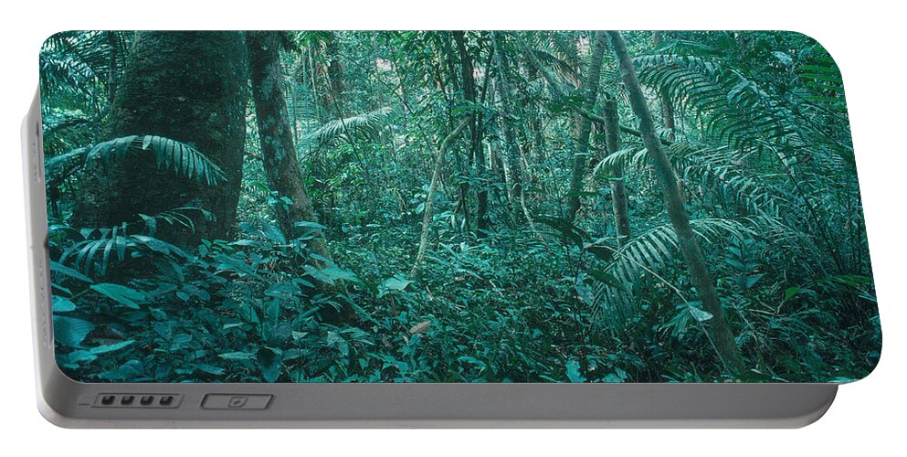 Tropical Rainforest Portable Battery Charger featuring the photograph Peruvian Amazon by Gregory G. Dimijian, M.D.