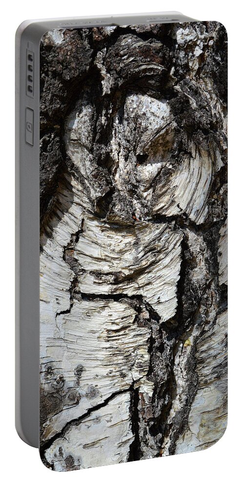 Wood Portable Battery Charger featuring the photograph Petrified Owl by Donna Blackhall
