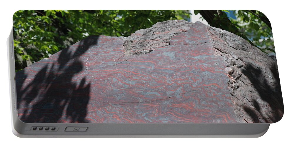 Petrified Wood Portable Battery Charger featuring the photograph Petrified Wood on Display by Kenny Glover