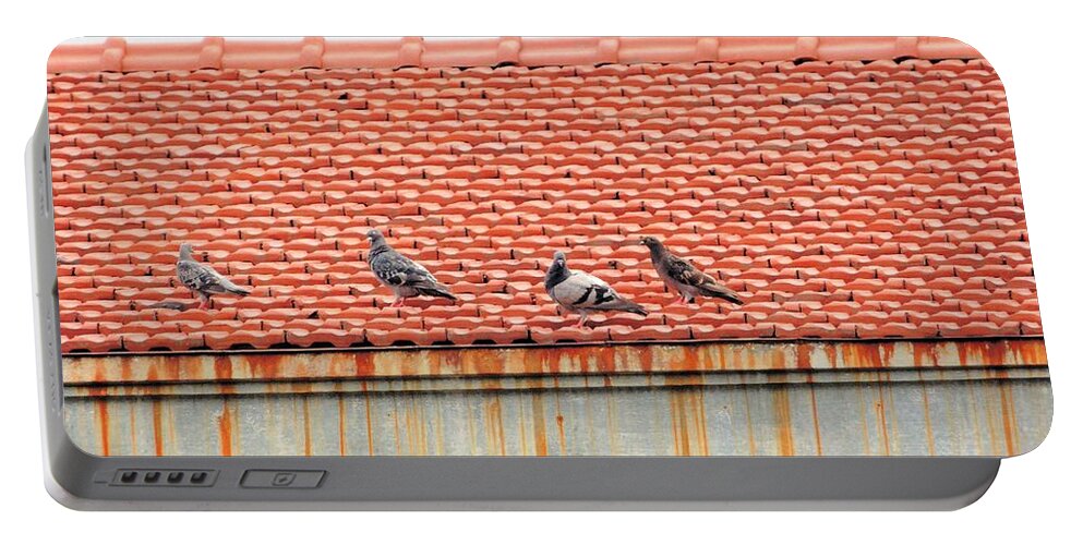 Pigeons Portable Battery Charger featuring the photograph Pigeons On Roof by Aaron Martens