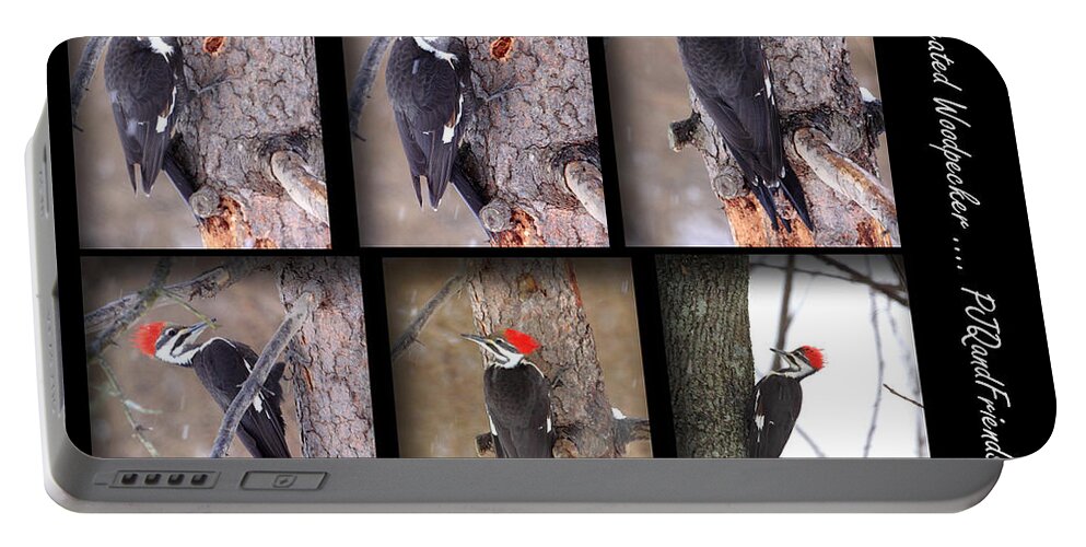 Pileated Woodpecker Collage Portable Battery Charger featuring the photograph Pileated Woodpecker by PJQandFriends Photography