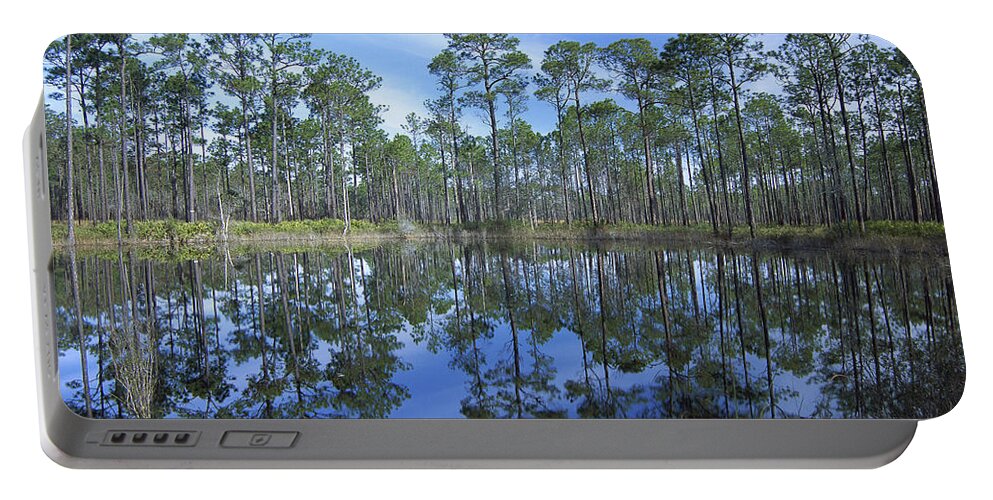 Feb0514 Portable Battery Charger featuring the photograph Pine Forest And Pond Ochlocknee River by Tim Fitzharris