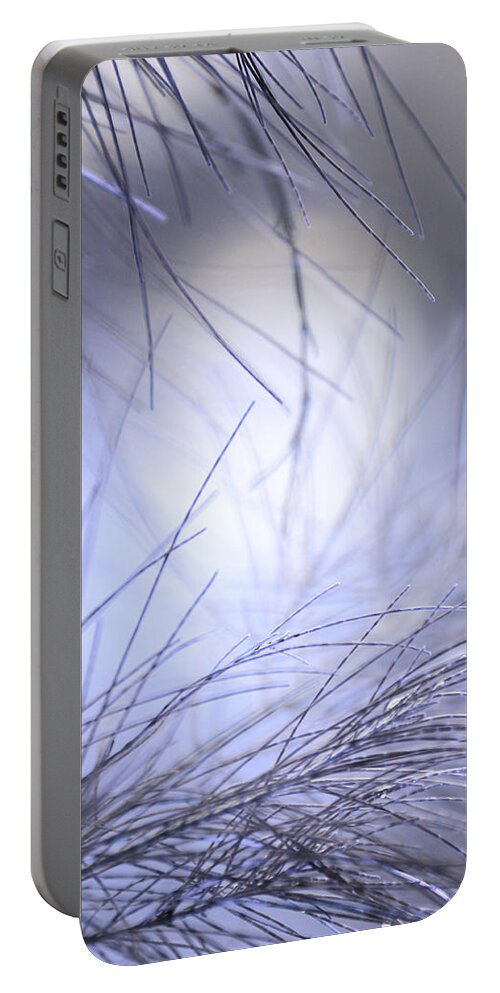 Pine Portable Battery Charger featuring the photograph Pine Tree Needles by Jenny Rainbow