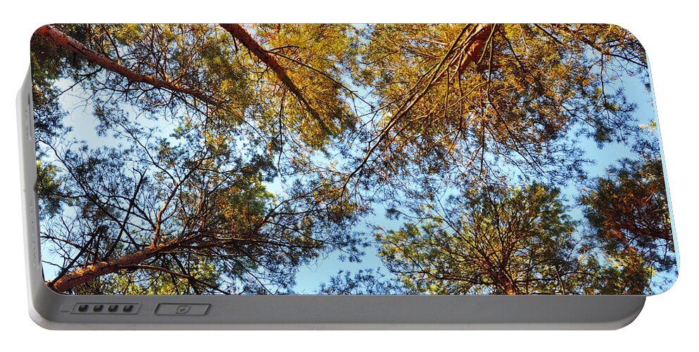 Late October Portable Battery Charger featuring the photograph Pines in the October Wind by Silva Wischeropp
