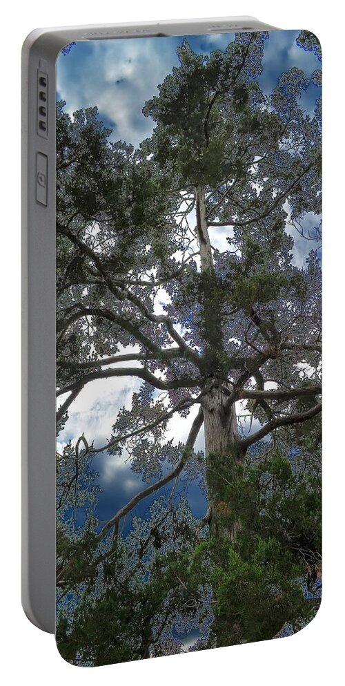 Tree Portable Battery Charger featuring the photograph Pining Away by Deena Stoddard