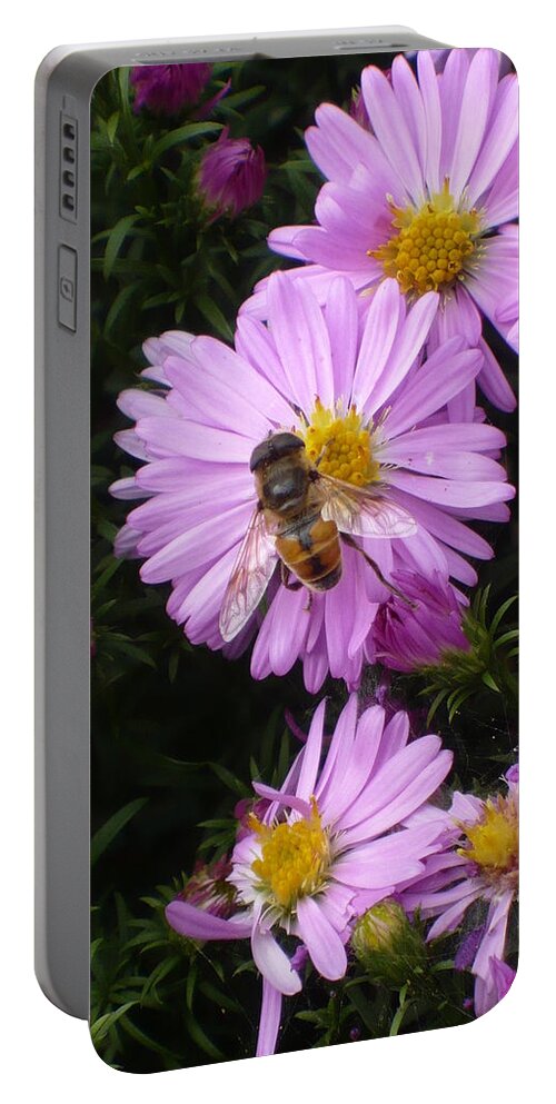 Pink Portable Battery Charger featuring the photograph Pink Bee-auty b by Nicki Bennett
