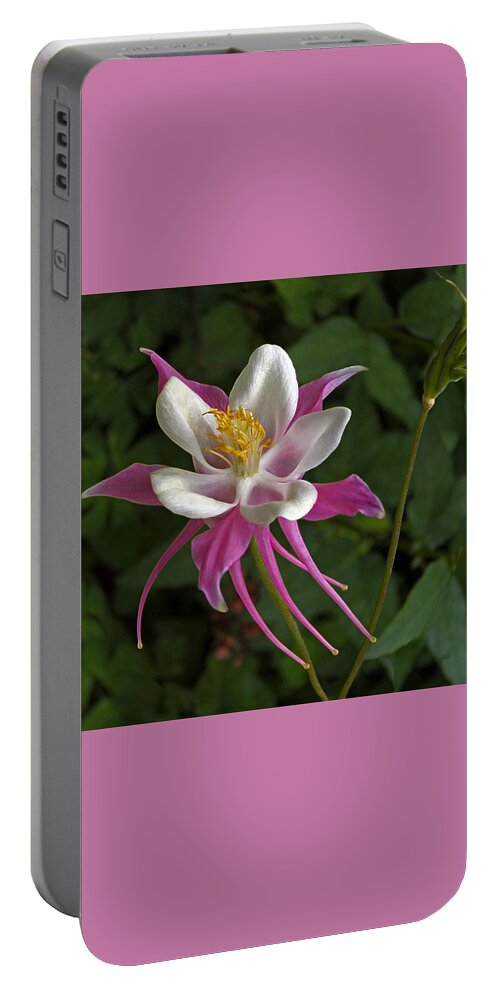 Pink Flower Portable Battery Charger featuring the photograph Pink Columbine Flower by Ben and Raisa Gertsberg