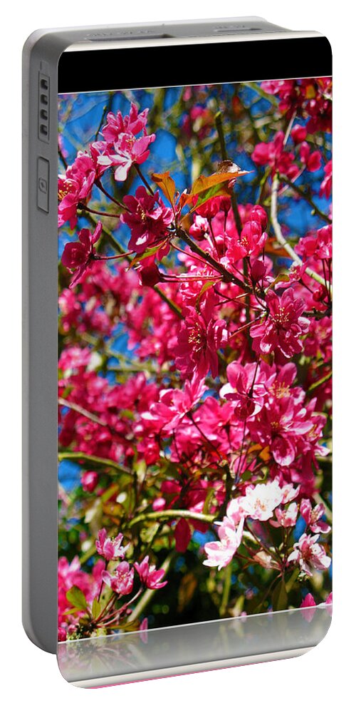 Nature Portable Battery Charger featuring the photograph Pink Crab Apple Blossom by Charmaine Zoe