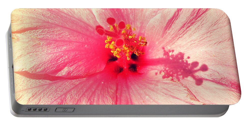 Florida Portable Battery Charger featuring the photograph Pink Hibiscus by Chris Andruskiewicz