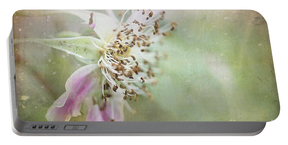Flower Portable Battery Charger featuring the photograph Pink Impression by Teresa Zieba
