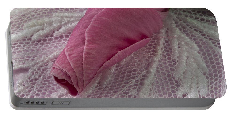 Lavatera Bud Macro Portable Battery Charger featuring the photograph Pink Lavatera Bud Macro by Sandra Foster