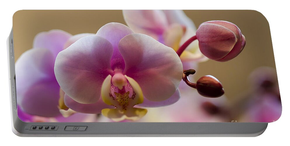 Flower Portable Battery Charger featuring the photograph Pink Orchid by Teresa Zieba