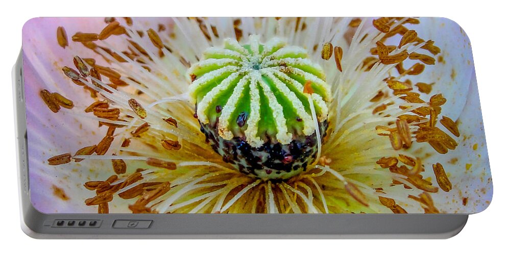 Poppy Portable Battery Charger featuring the photograph Pink Poppy Squared by TK Goforth