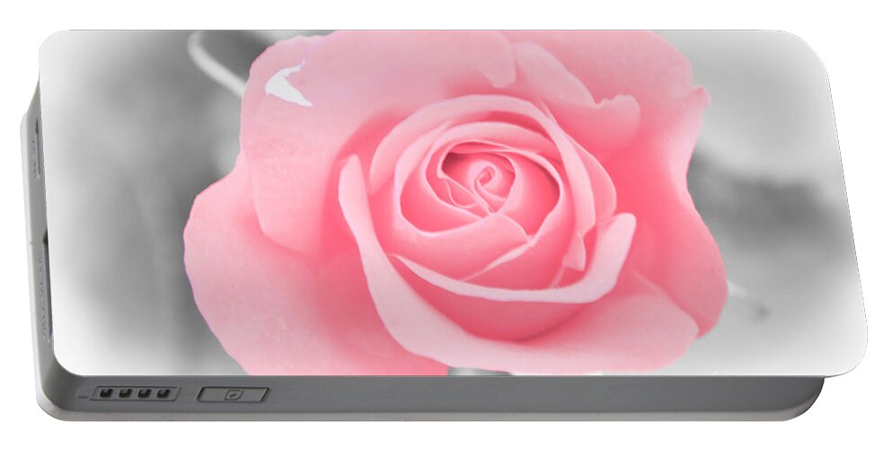 Love Portable Battery Charger featuring the photograph Pink Rose by Amanda Mohler