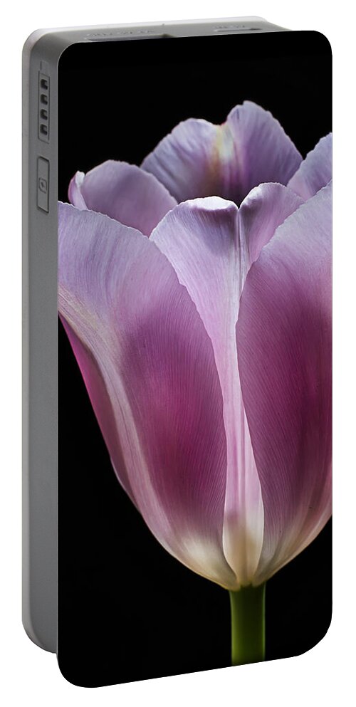 Flower Portable Battery Charger featuring the photograph Pink Tulip by Endre Balogh